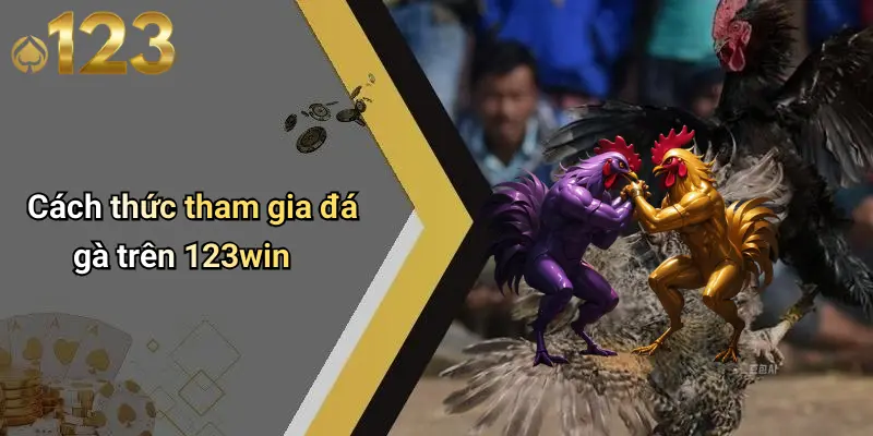 Đá Gà 123WIN 2 Cách thức tham gia đá gà trên 123win
