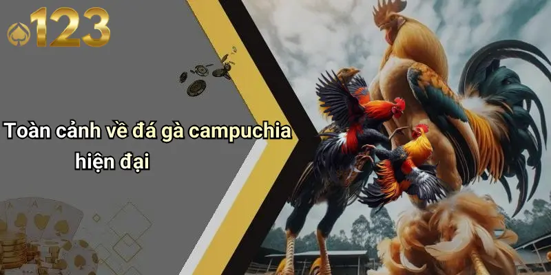 Đá Gà Campuchia: Đỉnh Cao Giải Trí Cá Cược Tại 123WIN 2 Toàn cảnh về đá gà campuchia hiện đại
